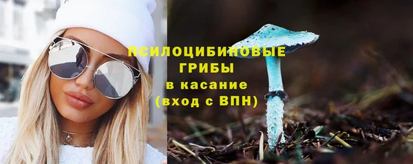 ешки Пересвет