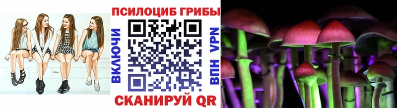 Псилоцибиновые грибы Cubensis Североморск