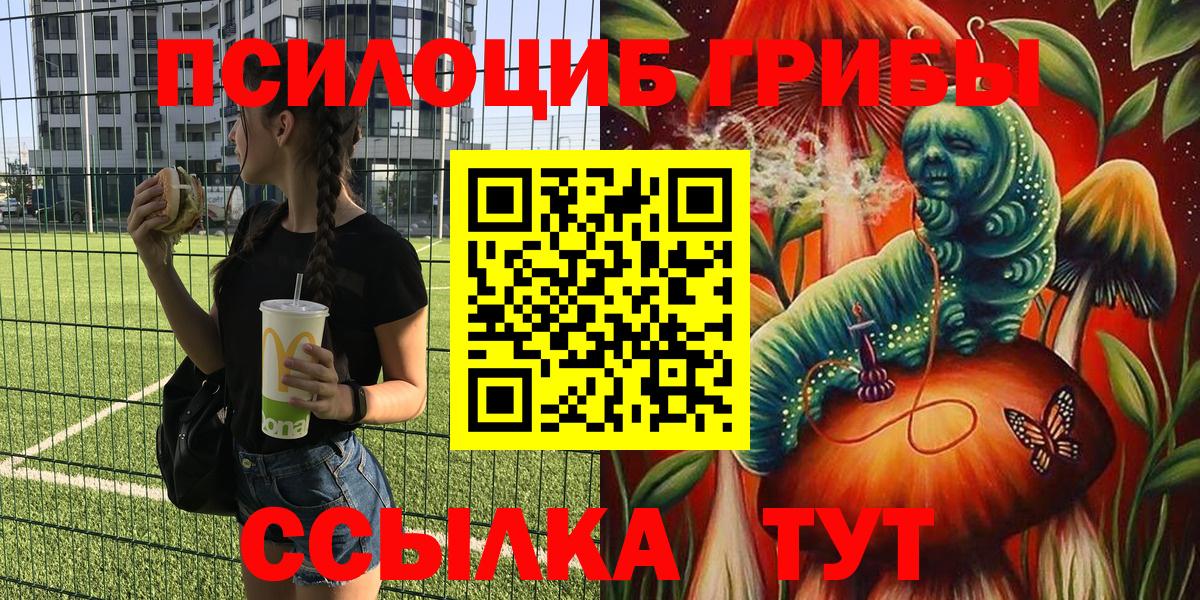 Галлюциногенные грибы GOLDEN TEACHER Североморск