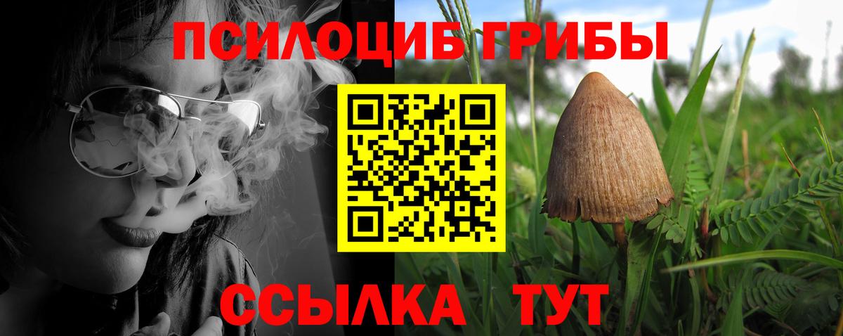 Псилоцибиновые грибы прущие грибы  Галлюциногенные грибы Cubensis  Североморск  Вход с VPN 